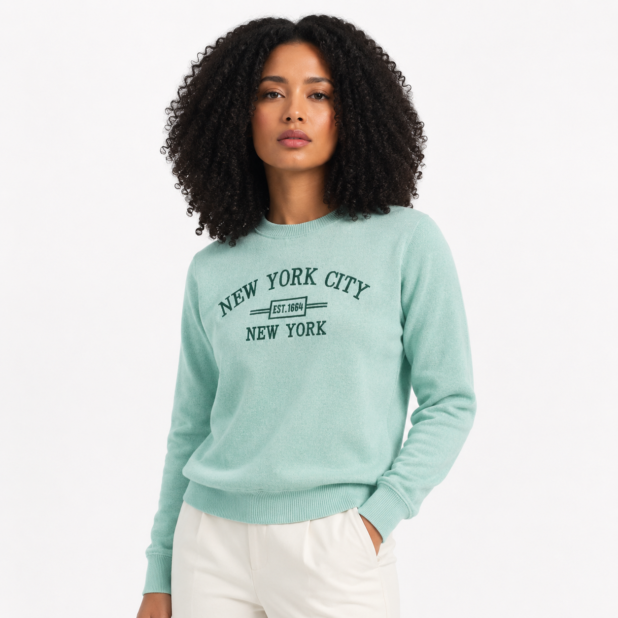 New York City Embroidered Crewneck Sweatshirt, Minimalist NYC Souvenir Pullover