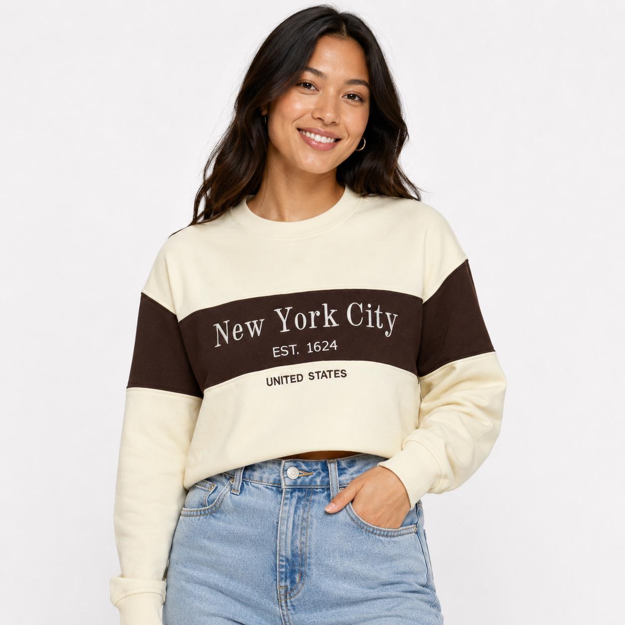 New York City Colorblock embroidered Crewneck Sweatshirt, Est 1624 Graphic Pullover