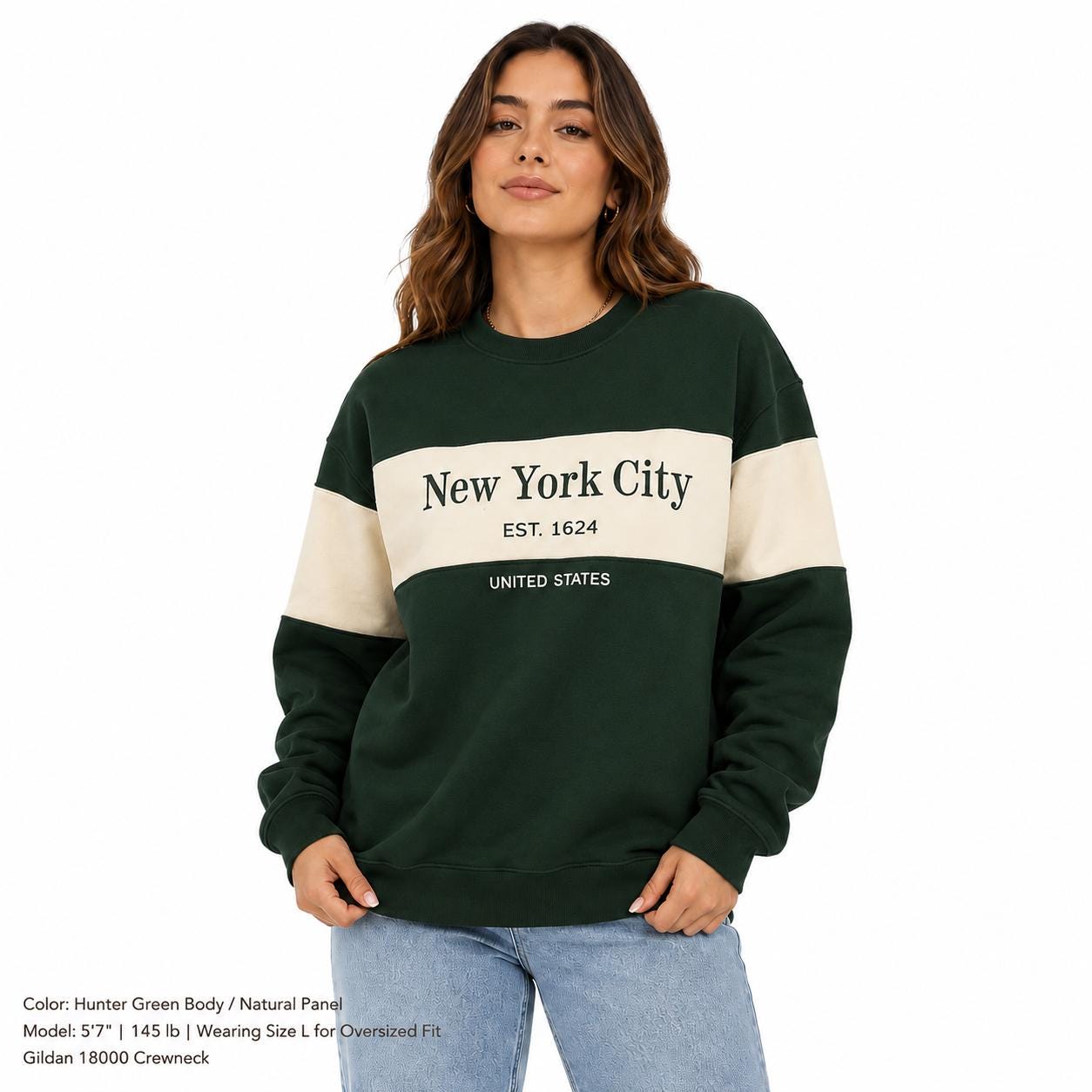 New York City Colorblock embroidered Crewneck Sweatshirt, Est 1624 Graphic Pullover