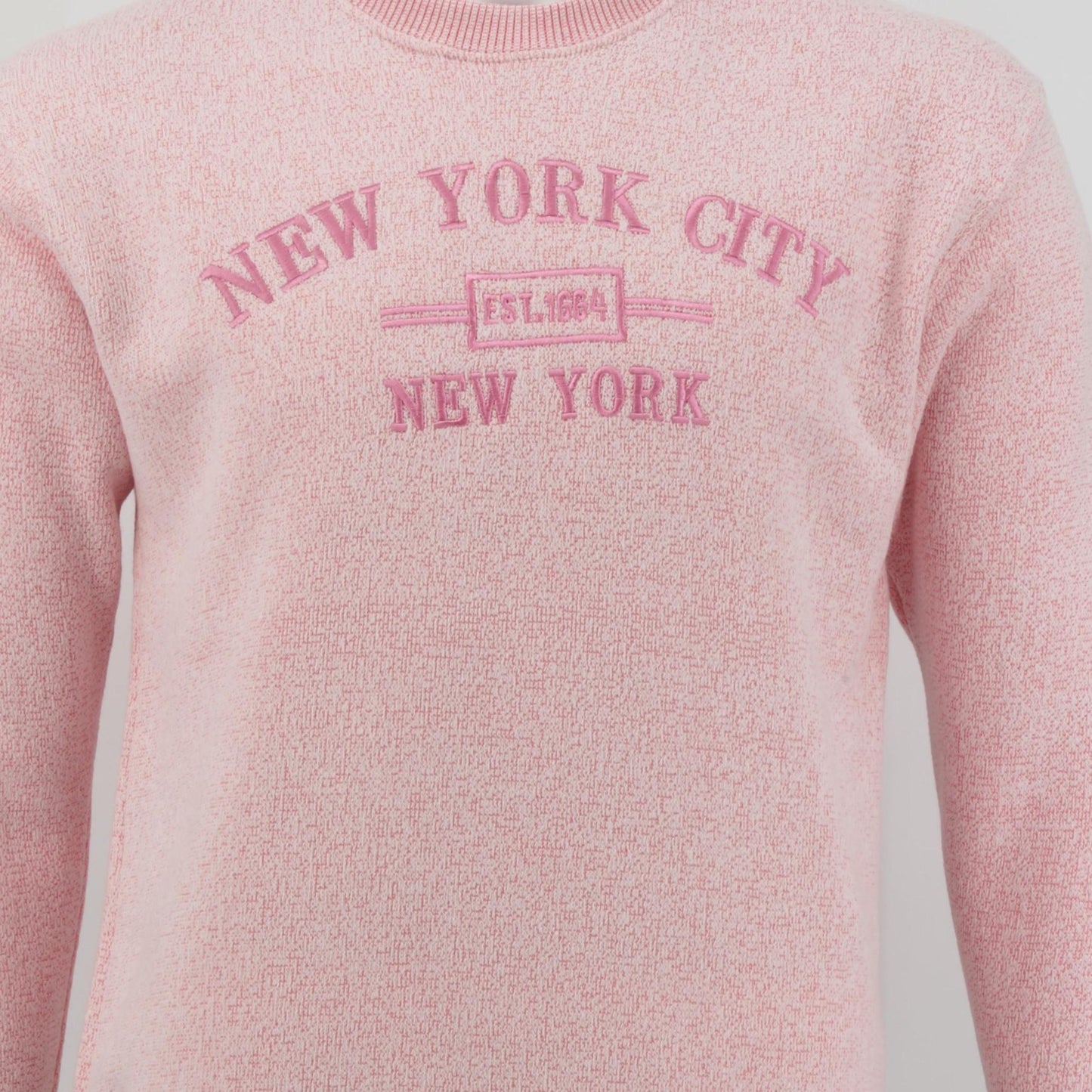 New York City Embroidered Crewneck Sweatshirt, Minimalist NYC Souvenir Pullover