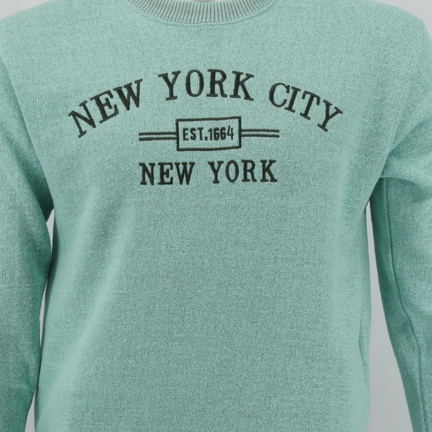 New York City Embroidered Crewneck Sweatshirt, Minimalist NYC Souvenir Pullover